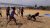Beach Kabadi 2